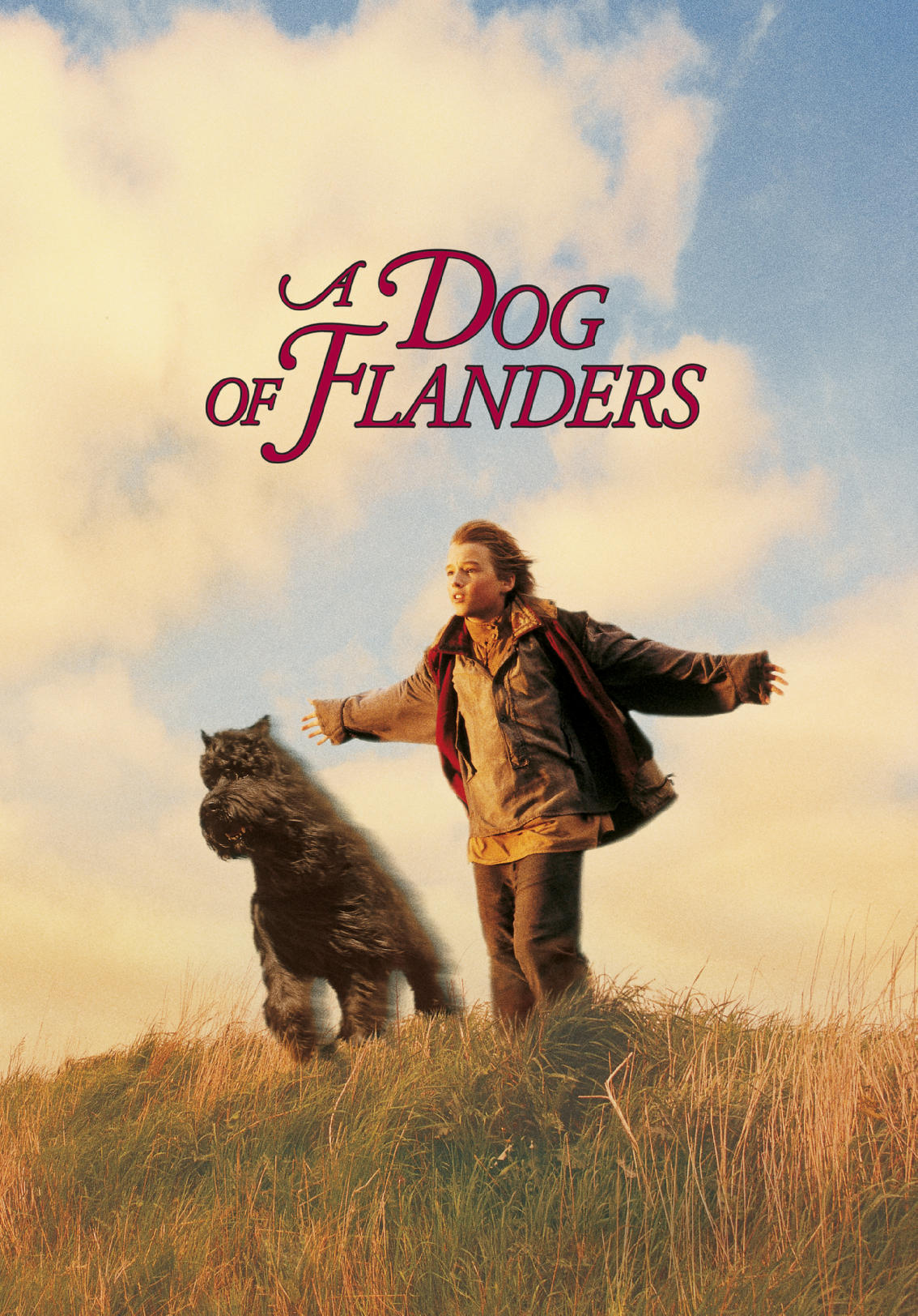 A Dog of Flanders (1999) | Kaleidescape Movie Store