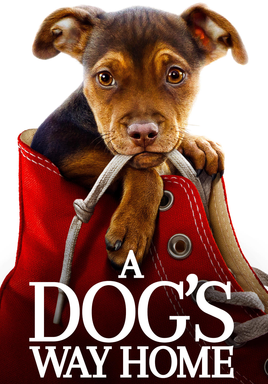 A Dog's Way Home (2019) Kaleidescape Movie Store